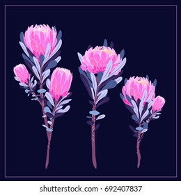 Exotic set of  flowers