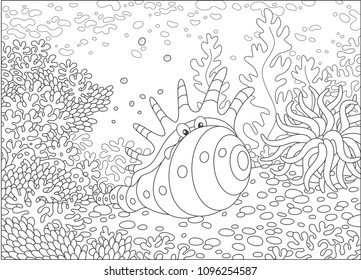 Exotic shell of among corals on a reef in a tropical sea, black and white vector illustration in a cartoon style for a coloring book