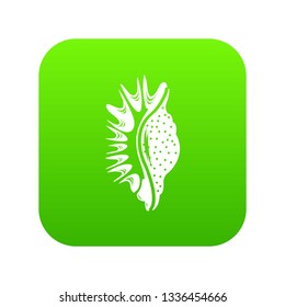 Exotic shell icon. Simple illustration of exotic shell vector icon for web