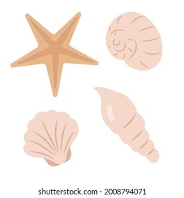 Exotic shells and starfish set. Various nautical seashells in flat style. Summer coast decor vector illustration