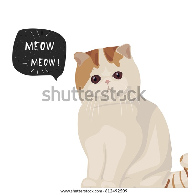 Exotic Shorthair Cat Breed Vector Illustration Stock Vector