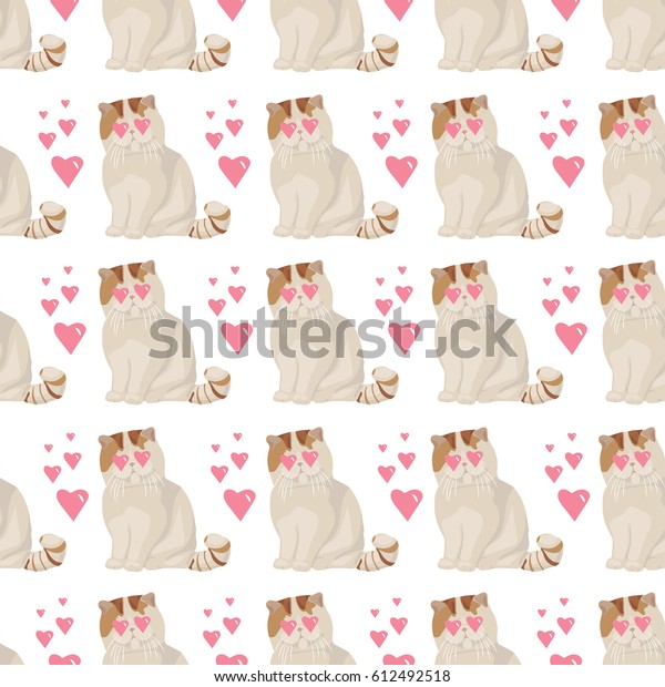 Exotic Shorthair Cat Breed Vector Cute Stock Vector Royalty Free