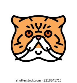 exotic shorthair cat cute pet color icon vector. exotic shorthair cat cute pet sign. isolated symbol illustration