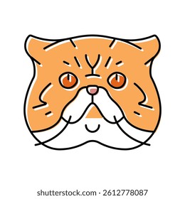 exotic shorthair cat cute pet color icon vector. exotic shorthair cat cute pet sign. isolated symbol illustration