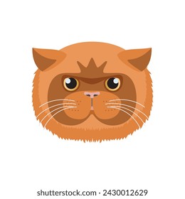 Cara de gato de pelo corto exótico, linda cabeza de gatito rojo con hocico redondo y mejillas completas ilustración vectorial