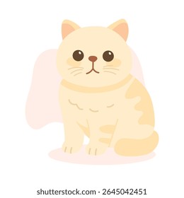 Gato exótico de pelo curto com nariz achatado e casaco grosso senta-se pacificamente. Este gato exótico do cabelo curto captura a expressão de pelúcia da raça exótica do cabelo curto.