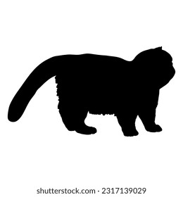 Exotic Shorthair cat silhouette cat breeds vector