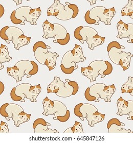 exotic shorthair cat vector doodle hand drawn pattern