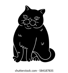 Exotic Shorthair icon in black style isolated on white background. Cat breeds symbol stock vector illustration.