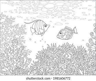 Exotic small fishes swimming over an amazing coral reef in a tropical southern sea, black and white outline vector cartoon illustration for a coloring book page