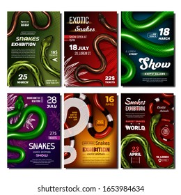 Exotic Snakes Show Advertising Banners Set Vector. Collection Of Creative Posters With Wild Danger Snakes. Bright Multicolored Skin Vipers. Deadly Tropical Serpent Wildlife Realistic 3d Illustrations