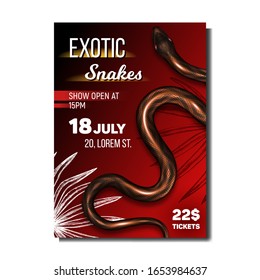 Exotic Snakes Terrarium Advertising Banner Vector. Brown Bright Color Wild Tropical Snakes With Danger Poison. Crawling Dangerous Venomous Viper. Deadly Mammal Hunter Realistic 3d Illustration