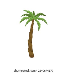 Exotic southern tree, tropical vegetation, greenery or plant isolated on white background. Palm tree cartoon illustration. Nature, flora, jungle concept