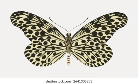Exotic spotted butterfly sticker, vintage insect. E.A. Seaguy's artwork, isolated vector element.