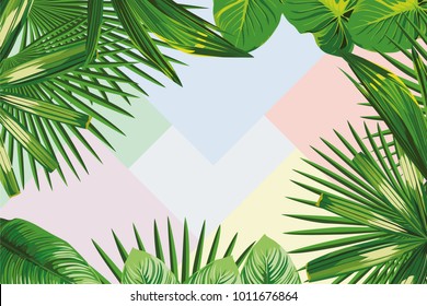 Exotic spring frame of tropical leaves on the geometrical pastel color background