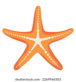 exotic starfish sealife animal icon