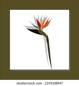 Exotic Strelitzia Blume in einem Linie Art Zeichnen Stil. Vogel der paradiesischen Blume minimalistische schwarze Linie Skizze auf weißem Hintergrund. Vektorgrafik