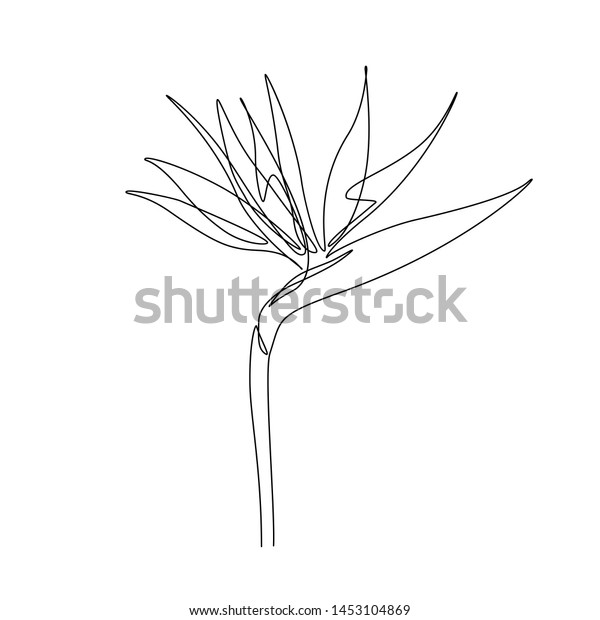 Exotic Strelitzia Flower One Line Art Stock Vector (Royalty Free