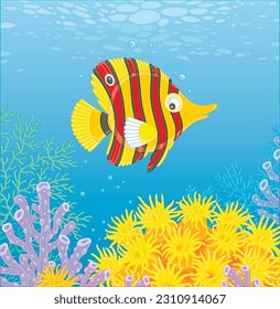 Exotic striped butterfly fish swimming in blue water of a colorful coral reef in a tropical southern sea, vector cartoon illustration