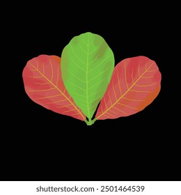 Hoja estilizada exótica de Terminalia catappa en amarillo rojo 