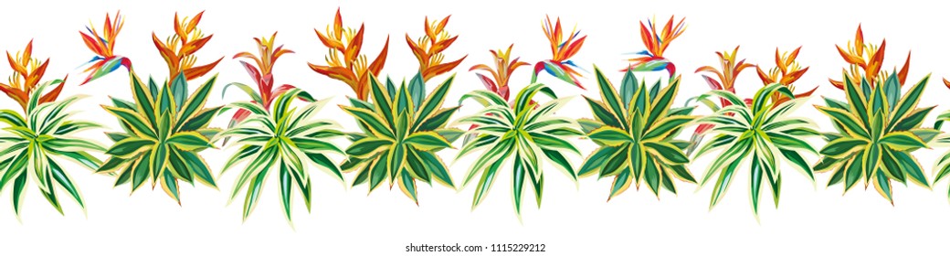 Exotic succulent cactus ribbon tropical plants flowers bird of paradise strelitzia seamless pattern composition white background