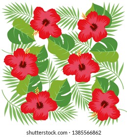 Exotic summer hibiscus flower vector illustration