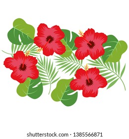 Exotic summer hibiscus flower vector illustration
