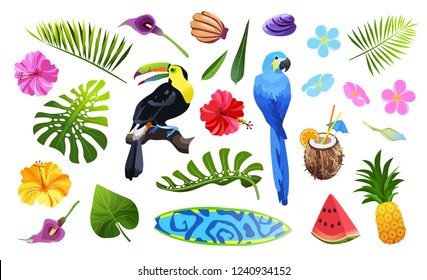 Exotic summer objects vector illustration isolated on white backgeound. Colorful tropical flowers, leaves and birds. Tucan  and parrot, monstera and palm leaf, hibiscus and plumeria set.