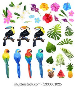 Exotic summer objects vector illustration isolated on white background. Colorful tropical flowers, leaves and birds. Tucan  and parrot, monstera and palm leaf, hibiscus and plumeria set.