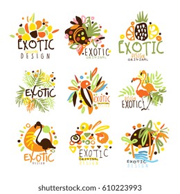 Exotic Summer Vacation Colorful Graphic Design Template Logo Series,Hand Drawn Vector label