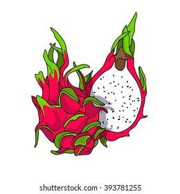 Exotic and Sweet Dragon Fruit. Vector illustration on white background.