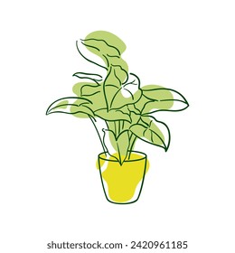 Singonio exótico Podophyllum . Planta de Aroid en una olla. Floricultura en casa, plantas en casa, hobby. Ilustración vectorial botánica en estilo de esbozo dibujado a mano. Ilustraciones de esquema. Decoración Interior.