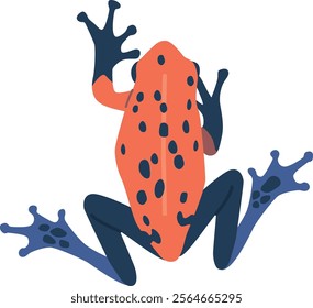 Exotic toad amphibian reptile vector illustration