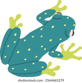 Exotic toad reptile vector illustration