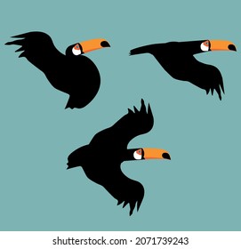 Exotic Toco Toucan bird vector illustration. Simple clipart design of jungle bird with a big beak.	