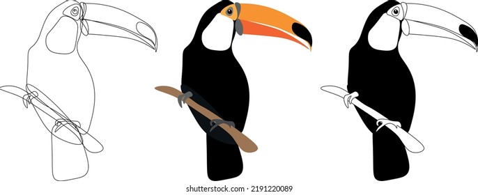 Exotic Toco Toucan tucano bird vector illustration. Simple clipart design of jungle bird with a big beak.	
