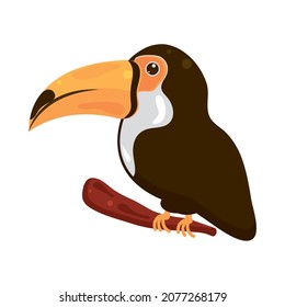 exotic toucan bird icon style