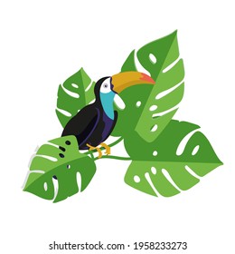 An exotic toucan bird sits on a branch of tropical greenery. Print, cartoon-style illustration. Vector, EPS 10.