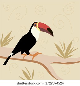 Exotic toucan bird. Toucans are birds that live in the tropical zone of the American continent.