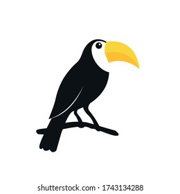 exotic toucan bird with yellow beak standing on tree vector illustration design