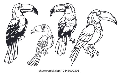 Exotic toucan set or tropical bird collection with big beak and colorful feathers for summer beach design of paradise jungle. Monochrome outline style or black and white lines.