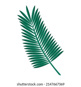 Exotic tree branch with leaves vector isolated illustration. Natural botanic element. Floral decoration.
