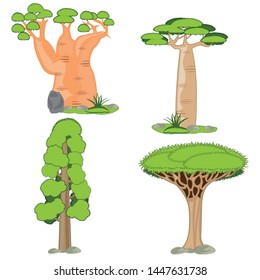 Exotic tree on white background is insulated