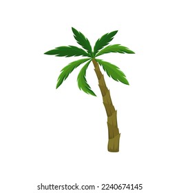 Exotic tree, tropical vegetation, greenery or plant isolated on white background. Palm tree cartoon illustration. Nature, flora, jungle concept