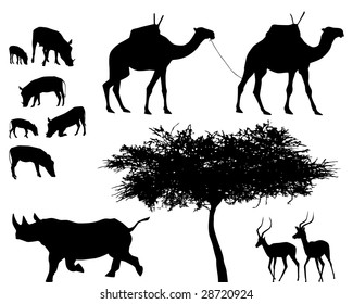 exotic trees and animals, vector set