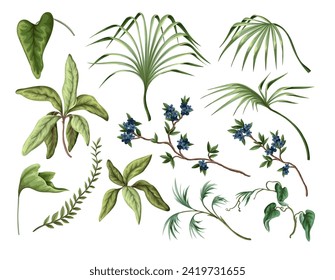 Exotic trees, leaves and flowers isolated. Vector