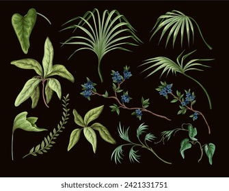 Exotic trees, leaves and flowers isolated. Vector