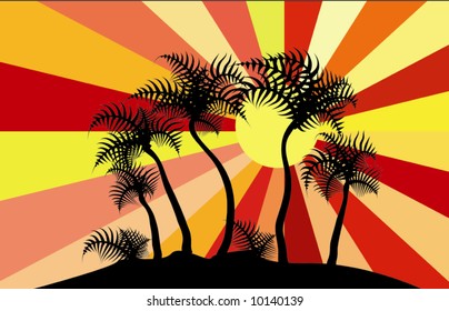 exotic trees and the sunset