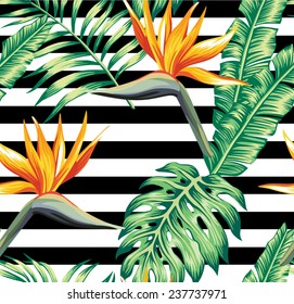 Exotic tropic plants composed of palm banana leaves, paradise Strelitzia flower on black and white stripe geometric background. Flower trendy seamless vector pattern. Hand drawn fashion wallpaper.