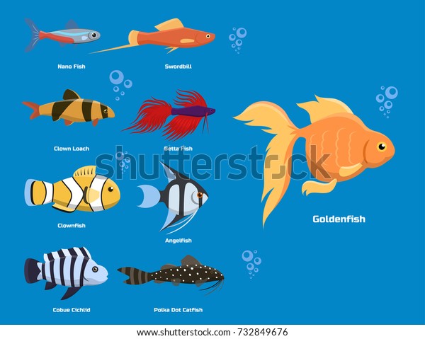 aquarium fish